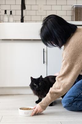 Show full view: Pearhead Meow Ceramic Cat Bowl, Small slide 5 of 9