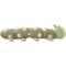 Show in main carousel: Linzy Toys Caterpillar Squeaky Plush Dog Toy, Green, 20-in slide 4 of 5