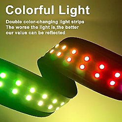 MEGAPAWS LED Dog Collar, Black, Small: 12 to 16-in neck, 1.75-in wide slide 2 of 9