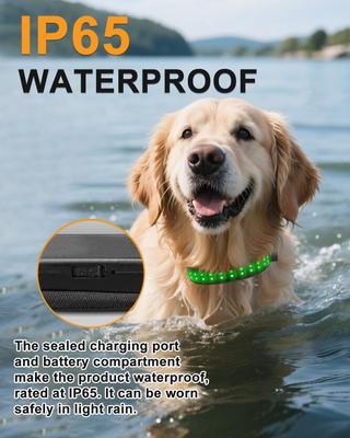 Show full view: MEGAPAWS LED Dog Collar, Black, Medium: 16 to 20-in neck, 1.75-in wide slide 5 of 12