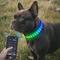 Show in main carousel: MEGAPAWS LED Dog Collar, Black, Small: 12 to 16-in neck, 1.75-in wide slide 1 of 12