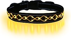MEGAPAWS Light Up Nylon Dog Collar, Orange, Medium: 13 to 21-in neck, 0.79-in wide