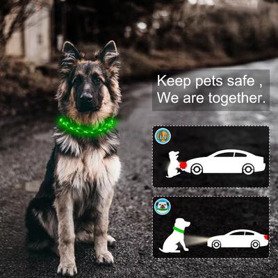 MEGAPAWS Light Up Nylon Dog Collar