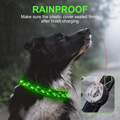 MEGAPAWS Light Up Nylon Dog Collar