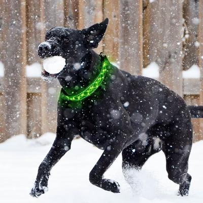 Show full view: MEGAPAWS Light Up Nylon Dog Collar, Green, Large: 17 to 27-in neck, 0.79-in wide slide 8 of 11