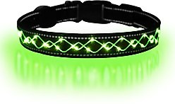 MEGAPAWS Light Up Nylon Dog Collar, Green, Medium: 13 to 21-in neck, 0.79-in wide
