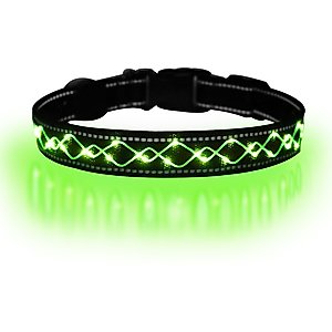 MEGAPAWS Light Up Nylon Dog Collar, Green, Medium: 13 to 21-in neck, 0.79-in wide
