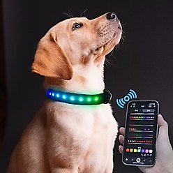 MEGAPAWS LED Dog Collar, Black, Medium: 16 to 20-in neck, 1.75-in wide