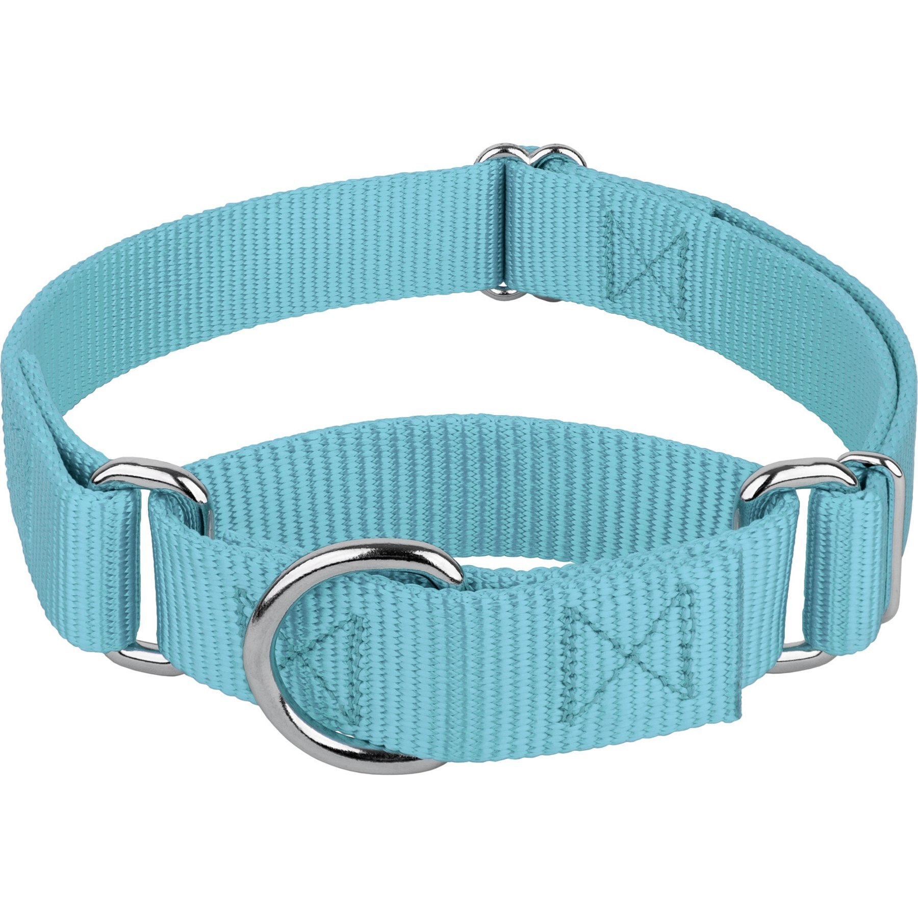 Country Brook Design Heavyduty Nylon Martingale Dog Collar, Ocean Blue, Large: 18 to 26-in neck, 1-in wide