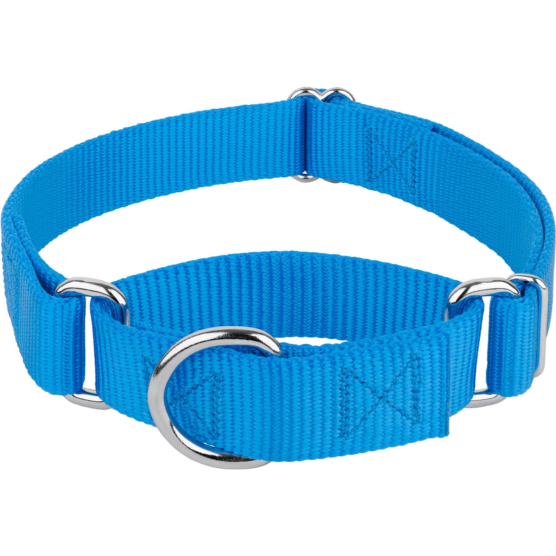 Country Brook Design Heavyduty Nylon Martingale Dog Collar, Ice Blue, X-Large: 23 to 31-in neck, 1-in wide