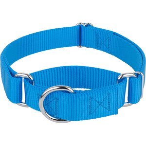 Country Brook Design Heavyduty Nylon Martingale Dog Collar, Ice Blue, X-Large: 23 to 31-in neck, 1-in wide