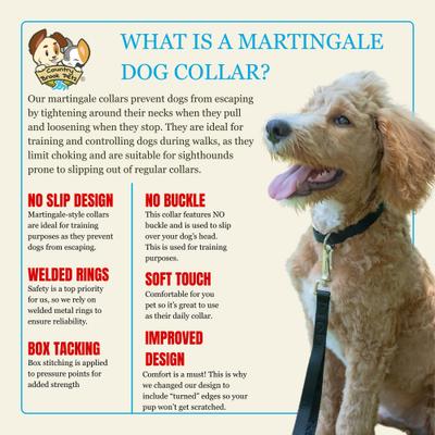 Show full view: Country Brook Design Heavyduty Nylon Martingale Dog Collar, Black, X-Large: 23 to 31-in neck, 1-in wide slide 8 of 10