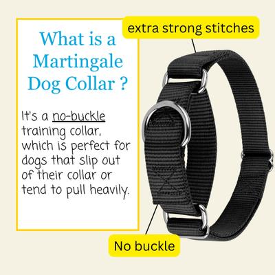Show full view: Country Brook Design Heavyduty Nylon Martingale Dog Collar, Black, X-Large: 23 to 31-in neck, 1-in wide slide 6 of 10