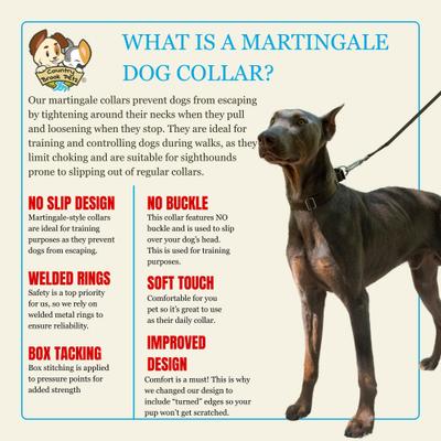 Show full view: Country Brook Design Heavyduty Nylon Martingale Dog Collar, Brown, Small: 11 to 15-in neck, 3/4-in wide slide 8 of 10