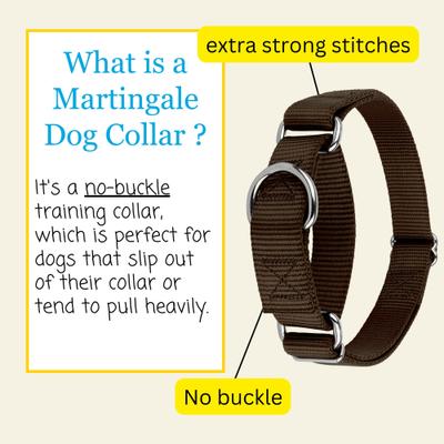 Show full view: Country Brook Design Heavyduty Nylon Martingale Dog Collar, Brown, Small: 11 to 15-in neck, 3/4-in wide slide 6 of 10