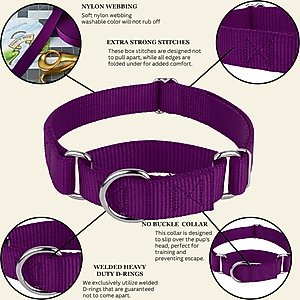 Country Brook Design Heavyduty Nylon Martingale Dog Collar, Purple, Medium: 15 to 21-in neck, 1-in wide