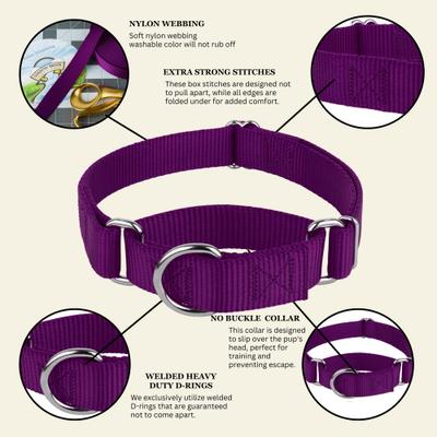 Show full view: Country Brook Design Heavyduty Nylon Martingale Dog Collar, Purple, Small: 11 to 15-in neck, 3/4-in wide slide 10 of 11