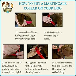 Country Brook Design Heavyduty Nylon Martingale Dog Collar, Purple, Small: 11 to 15-in neck, 3/4-in wide slide 2 of 9