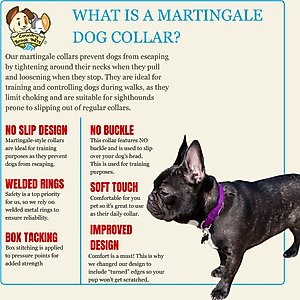 Country Brook Design Heavyduty Nylon Martingale Dog Collar, Purple, Medium: 15 to 21-in neck, 1-in wide