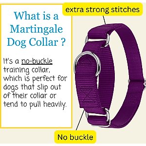 Country Brook Design Heavyduty Nylon Martingale Dog Collar, Purple, Medium: 15 to 21-in neck, 1-in wide