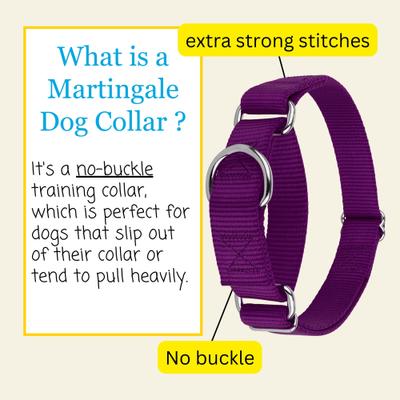 Show full view: Country Brook Design Heavyduty Nylon Martingale Dog Collar, Purple, Small: 11 to 15-in neck, 3/4-in wide slide 7 of 11