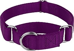 Country Brook Design Heavyduty Nylon Martingale Dog Collar, Purple, Medium: 15 to 21-in neck, 1-in wide
