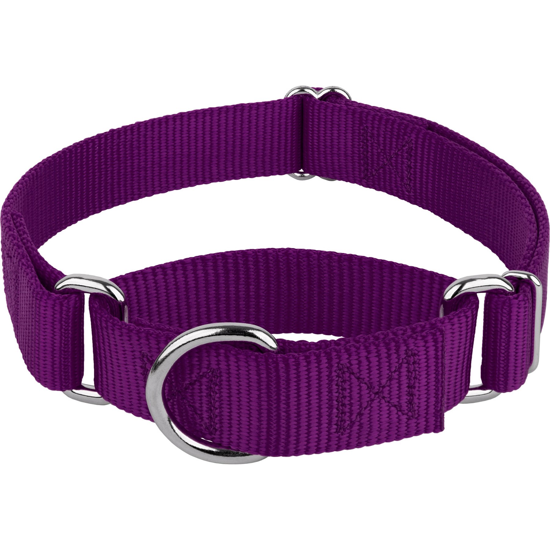 Country Brook Design Heavyduty Nylon Martingale Dog Collar, Purple, Mini: 7 to 10-in neck, 3/8-in wide