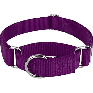 Country Brook Design Heavyduty Nylon Martingale Dog Collar, Purple, Medium: 15 to 21-in neck, 1-in wide