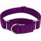 Show in main carousel: Country Brook Design Heavyduty Nylon Martingale Dog Collar, Purple, Small: 11 to 15-in neck, 3/4-in wide slide 1 of 11