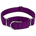 Country Brook Design Heavyduty Nylon Martingale Dog Collar, Purple, Large: 18 to 26-in neck, 1-in wide