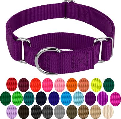 Show full view: Country Brook Design Heavyduty Nylon Martingale Dog Collar, Purple, Small: 11 to 15-in neck, 3/4-in wide slide 6 of 11