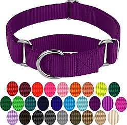 Country Brook Design Heavyduty Nylon Martingale Dog Collar, Purple, Medium: 15 to 21-in neck, 1-in wide slide 2 of 9