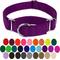 Show in main carousel: Country Brook Design Heavyduty Nylon Martingale Dog Collar, Purple, Large: 18 to 26-in neck, 1-in wide slide 5 of 10