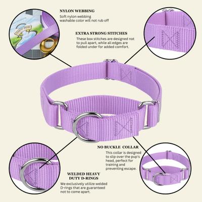 Show full view: Country Brook Design Heavyduty Nylon Martingale Dog Collar, Lavender, Large: 18 to 26-in neck, 1-in wide slide 9 of 10