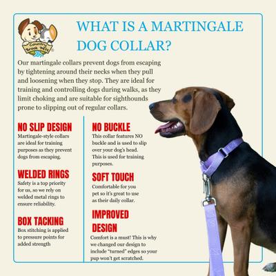 Show full view: Country Brook Design Heavyduty Nylon Martingale Dog Collar, Lavender, Large: 18 to 26-in neck, 1-in wide slide 8 of 10