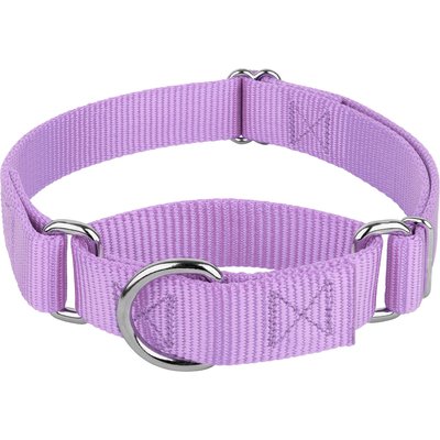 Country Brook Design Country Brook Design Heavyduty Nylon Martingale Dog Collar, Lavender, Medium: 15 to 21-in neck, 1-in wide