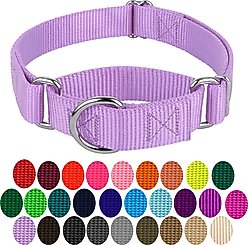 Country Brook Design Heavyduty Nylon Martingale Dog Collar, Lavender, Mini: 7 to 10-in neck, 3/8-in wide slide 2 of 9