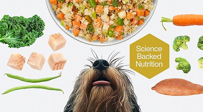 JustFoodForDogs Fish & Sweet Potato Recipe Frozen Human-Grade Fresh Dog Food