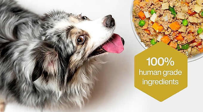 JustFoodForDogs Fish & Sweet Potato Recipe Frozen Human-Grade Fresh Dog Food