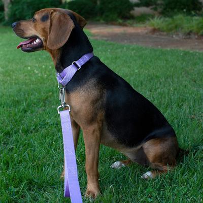 Show full view: Country Brook Design Heavyduty Nylon Martingale Dog Collar, Lavender, X-Small: 9 to 12-in neck, 5/8-in wide slide 3 of 11