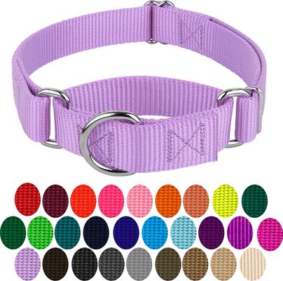 Show full view: Country Brook Design Heavyduty Nylon Martingale Dog Collar, Lavender, Medium: 15 to 21-in neck, 1-in wide slide 5 of 10