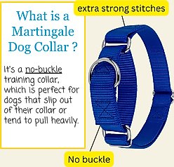 Country Brook Design Heavyduty Nylon Martingale Dog Collar, Royal Blue, X-Large: 23 to 31-in neck, 1-in wide slide 2 of 9