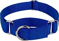 Country Brook Design Heavyduty Nylon Martingale Dog Collar, Royal Blue, X-Small: 9 to 12-in neck, 5/8-in wide