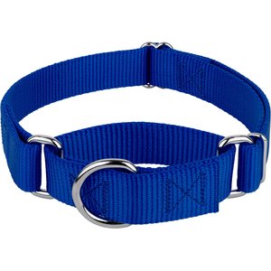 Country Brook Design Heavyduty Nylon Martingale Dog Collar, Royal Blue, Medium: 15 to 21-in neck, 1-in wide