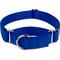 Show in main carousel: Country Brook Design Heavyduty Nylon Martingale Dog Collar, Royal Blue, Medium: 15 to 21-in neck, 1-in wide slide 1 of 10