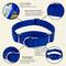 Show in main carousel: Country Brook Design Heavyduty Nylon Martingale Dog Collar, Royal Blue, Medium: 15 to 21-in neck, 1-in wide slide 9 of 10