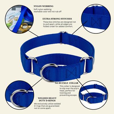 Show full view: Country Brook Design Heavyduty Nylon Martingale Dog Collar, Royal Blue, Medium: 15 to 21-in neck, 1-in wide slide 9 of 10