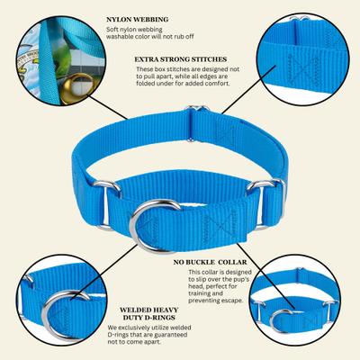 Show full view: Country Brook Design Heavyduty Nylon Martingale Dog Collar, Ice Blue, X-Large: 23 to 31-in neck, 1-in wide slide 9 of 10