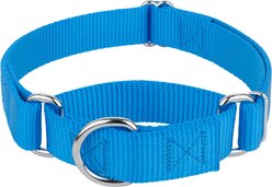 Country Brook Design Heavyduty Nylon Martingale Dog Collar, Ice Blue, Medium: 15 to 21-in neck, 1-in wide