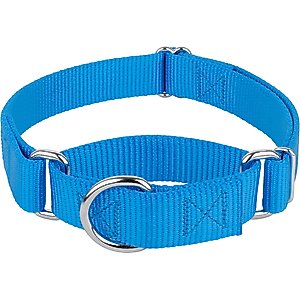 Country Brook Design Heavyduty Nylon Martingale Dog Collar, Ice Blue, Medium: 15 to 21-in neck, 1-in wide